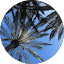 Avis client