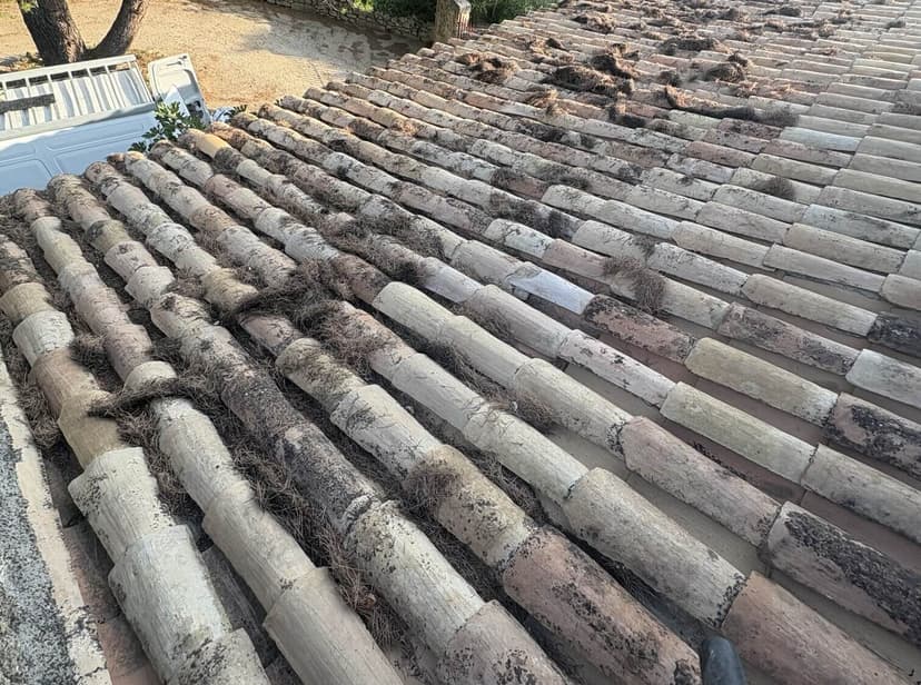 Nettoyage de toiture